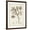 Brown Frame, variant on Art.com Antique Sepia Botanicals I Art Print by 0 Unknown, 12" x 16"
