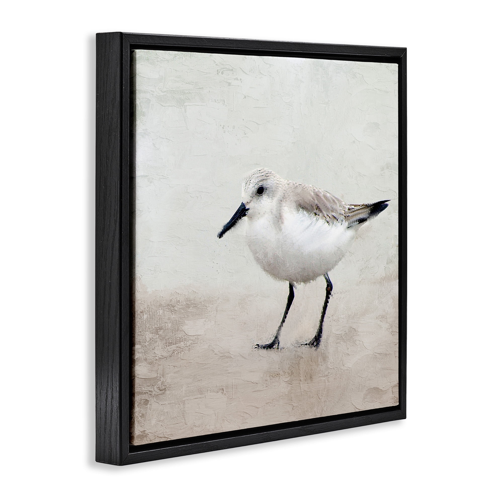 Stupell Industries Lone Sandpiper Bird Portrait Animals & Insects Painting Black Floater Framed Canvas Art Print Wall Art, 25 x 25