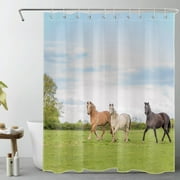 HVEST Farmhouse Horse Shower Curtain for Bathroom,Farm Animal on Green Field Rustic Nature Fabric Shower Curtain with Hooks,Blue Sky and White Cloud Bathroom Curtains Shower Set, 60x72 inches