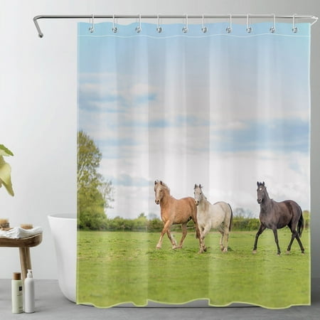 HVEST Farmhouse Horse Shower Curtain for Bathroom,Farm Animal on Green Field Rustic Nature Fabric Shower Curtain with Hooks,Blue Sky and White Cloud Bathroom Curtains Shower Set, 60x72 inches