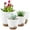 White, variant on FOUKUS Set of 5 Self-Watering Plant Pots with Drainage – Eco-Friendly Plastic Planters for Indoor & Outdoor Use – Pots for Succulents, Cactus, Snake Plants (7", 6.5", 6", 5.5", 5") – Green