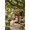 Red + Rattan + POLYETHYLENE, variant on Luckynote Outdoor Garden Rattan Egg Swing Chair Hanging Chair