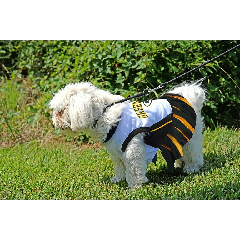 Pets First NFL Green Bay Packers Cheerleader Outfit, 3 Sizes Pet Dress  Available. Licensed Dog Outfit 