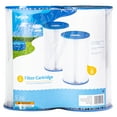 Funsicle Type B Pool Filter Cartridge 2Pack, White, Universal