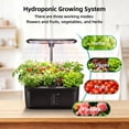 thumbnail image 3 of Hydroponics Growing System, 6 Pods LED Grow Light Adjustable & Auto Timer for Indoor Hydroponic Planter Grower Harvest Lettuce, 3 of 10