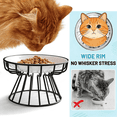 thumbnail image 2 of Cat Bowls, Elevated Cat Bowl, Raised Ceramic Dish with Metal Stand, Pet Water or Food Feeding Station for Indoor Cats, Kitten, Puppies and Small Dogs, Dishwasher Safe, 2 of 5