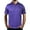 Regal Plaid, variant on Men's Polo Shirt, Short Sleeve Performance Golf Shirt, Dry Fit, Moisture-Wicking, Lightweight Activewear for Outdoor Enthusiasts
