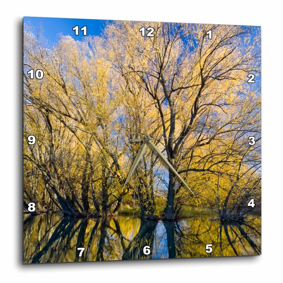 3drose, Utah, Usa, Peachleaf Willow Trees Reflected in Logan River., 15x15 Wall Clock
