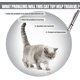 thumbnail image 4 of Pointer Cat Interactive Cat Toys 7 en 1 Funny Cat Multi-Model Plays Linterna LED con USB Recargable JM MX-0135758FYD, 4 of 4
