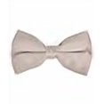 thumbnail image 3 of boxed-gifts Nœud Papillon Homme Couleur Unie (Argent), 3 of 3