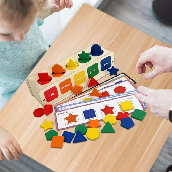 Montessori Wooden Shape and Color Sorting Toy with Storage Box Educational Toys