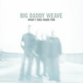 thumbnail image 2 of Big Daddy Weave - What I Was Made for - Music & Performance - CD, 2 of 2