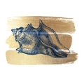 thumbnail image 2 of Bluebird Barn 14x12 White Modern Wood Framed Museum Art Print Titled - Brushed Gold Seashell, 2 of 4