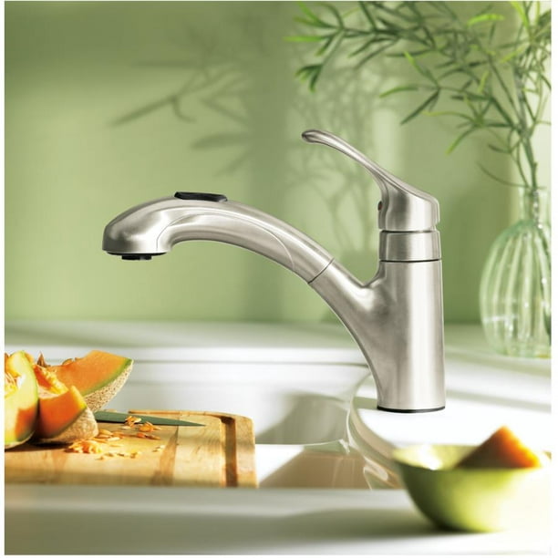 Moen Renzo Pull Out Kitchen Faucet 9 5
