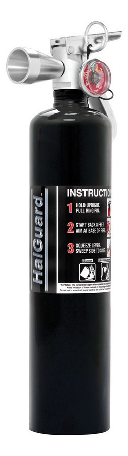 2.5LB BLACK CLEAN AGENT FE | Walmart Canada