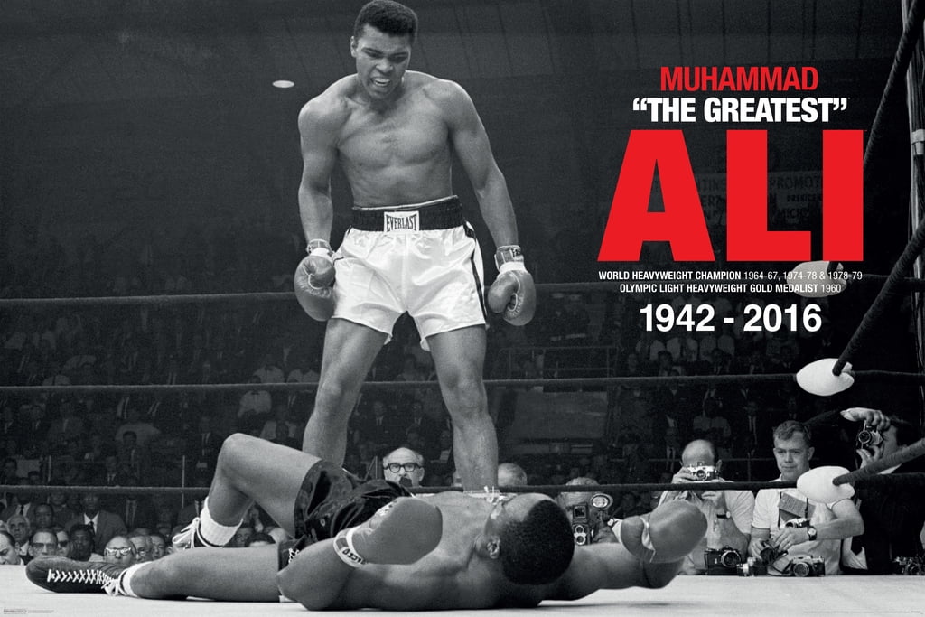American Professional Heavyweight Boxer 24"x34" Poster 67 Mike Tyson 