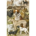 thumbnail image 3 of August Specht 16x24 Black Modern Framed Museum Art Print Titled - Dog Studies, 3 of 5