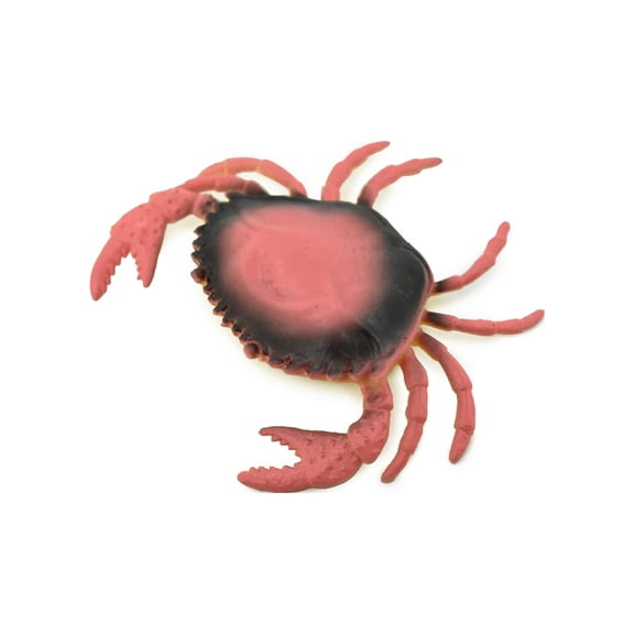 Crab, Dungeness Crab, Rubber, Crustaceans, Educational, Realistic, Hand Painted, Figure, Lifelike Figurine, Replica, Gift, 3 1/2" F6001 B378