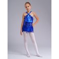 thumbnail image 3 of Raenseen Costume de Danse Jazz Rumba Samba pour Filles Enfants Robe de Danse Latine à Paillettes Ourlet à Franges Ballet Bleu 14, 3 of 7