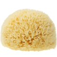 thumbnail image 1 of Esponja natural, esponja de baño muy suave de Grecia, para mayor espuma, hipoalergénica, esponja de ducha de calidad, esponja lavable, flor de ducha, 9 cm (lavado de cara pequeño) JM JM Rojo Verde, 1 of 5