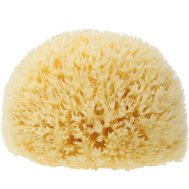 Esponja natural, esponja de baño muy suave de Grecia, para mayor espuma, hipoalergénica, esponja de ducha de calidad, esponja lavable, flor de ducha, 9 cm (lavado de cara pequeño) JM JM Rojo Verde