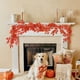 thumbnail image 4 of Herunwer 170cm Halloween Thanksgiving Maple Leaf Vines Field Decoration Artificial Simulated Maple Leaves Home Decoration, 4 of 7