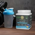 thumbnail image 2 of Sunwarrior Active Pre-Workout Powder for Men & Women, Raspberry Pineapple, 315g (30 Servings), 2 of 8