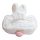thumbnail image 5 of KAKOWELY Para Tissue Con Simple Y Fácil Para Casa, 5 of 8