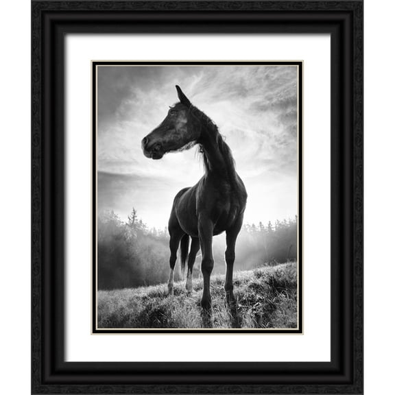 Accordini, Alessandro 12x14 Black Ornate Wood Framed with Double Matting Museum Art Print Titled - Backlight Horse