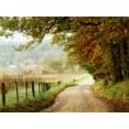 thumbnail image 2 of Head, Danny 14x12 Black Ornate Wood Framed with Double Matting Museum Art Print Titled - Autumn on a Country Road, 2 of 4