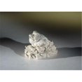 thumbnail image 1 of Bonsai Boy e2028 Bone Frog Figurine, 1 of 1