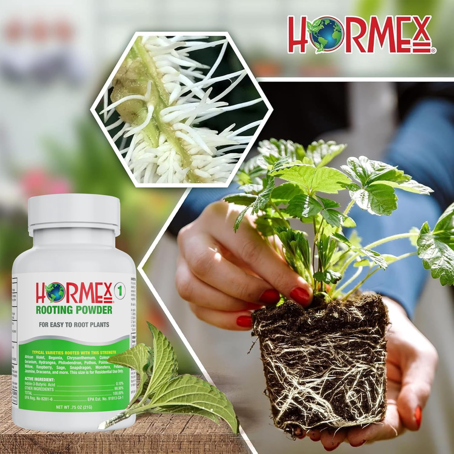 Hormex Rooting Powder #1 & Cubes Combo – Rooting Hormone for Seed Starting and Cultivation