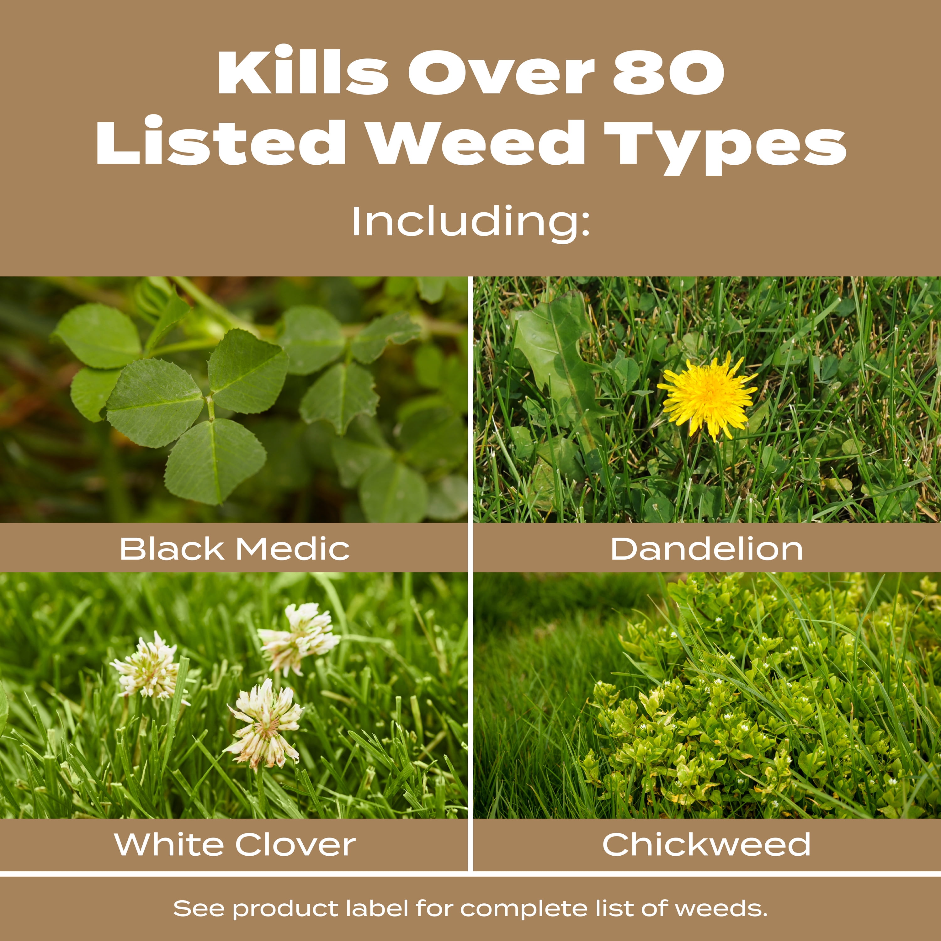 Scotts Turf Builder Weed & Feed for Texas Lawns, Weed Killer Plus Lawn Fertilizer, 22.40 lbs.