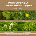 thumbnail image 3 of Scotts Turf Builder Weed & Feed for Texas Lawns, Weed Killer Plus Lawn Fertilizer, 22.40 lbs., 3 of 14