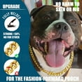 thumbnail image 2 of Collier pour Chien 10mm Collier Antidérapant Maillon Cubain Chaîne en Acier Inoxydable Robuste pour Chiens (14 Pouces), 2 of 4