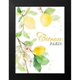 thumbnail image 2 of Loreth, Lanie 11x14 Black Modern Framed Museum Art Print Titled - Spring Citron In Paris, 2 of 5