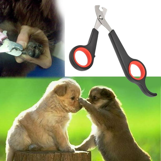 Lima De Uñas Lima De Uñas Tijeras para uñas de mascotas de acero inoxidable, cortadora de garras para perros y gatos (negro)