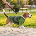 thumbnail image 5 of Deago Dog Striped T-Shirt with Leash Ring Warm Breathable Winter Pet Apparel Colorful Soft Puppy Sweatshirt Clothes for Small to Medium Dogs Puppy (Green, M), 5 of 8