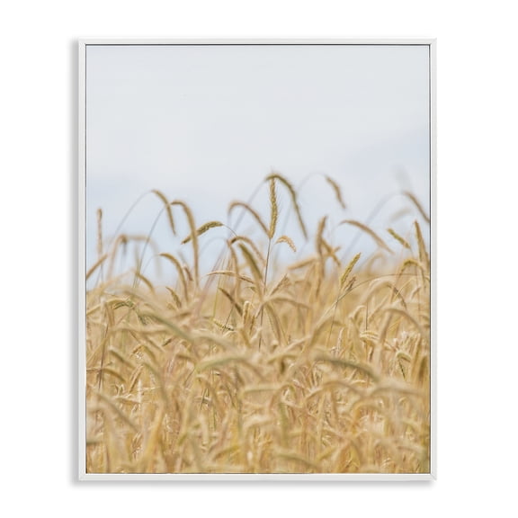 Stupell Industries Cottage Rural Wheat Field Crops White Framed Giclee Art, 11 x 14, by Nancy Crowell