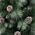 thumbnail image 3 of National Tree Company Artificial Christmas Tree, Green, Perry Hard Needle Mixed Pine, White Spayed Tips, Pine Cones, Includes Stand, 6 Feet, 3 of 3