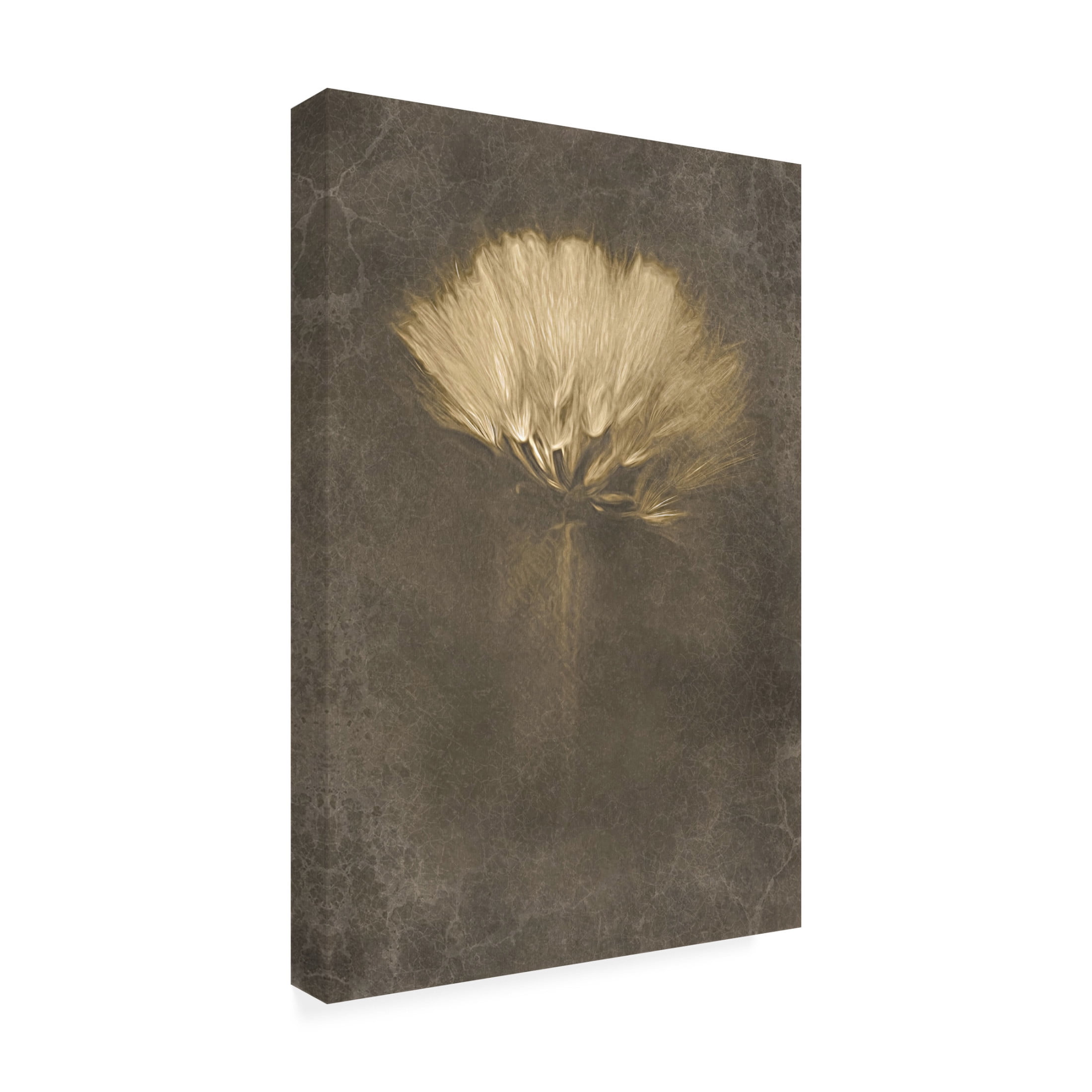 Canvas Wall Art - Cicek Kiral 'Mysterious Days' Wall Art for Living Room, Bedroom, or Office D?cor by Trademark Fine Art - 16 x 24 Inches