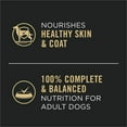 thumbnail image 4 of Purina Pro Plan Complete Essentials Entrée d'Agneau et de Légumes Tranches en Sauce, Nourriture Humide pour Chiens 368 g, 4 of 9