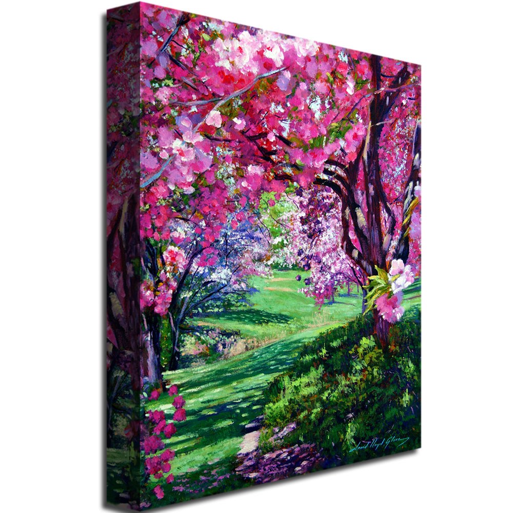 Trademark Art "Sakura Romance" Canvas Wall Art by David Lloyd Glover