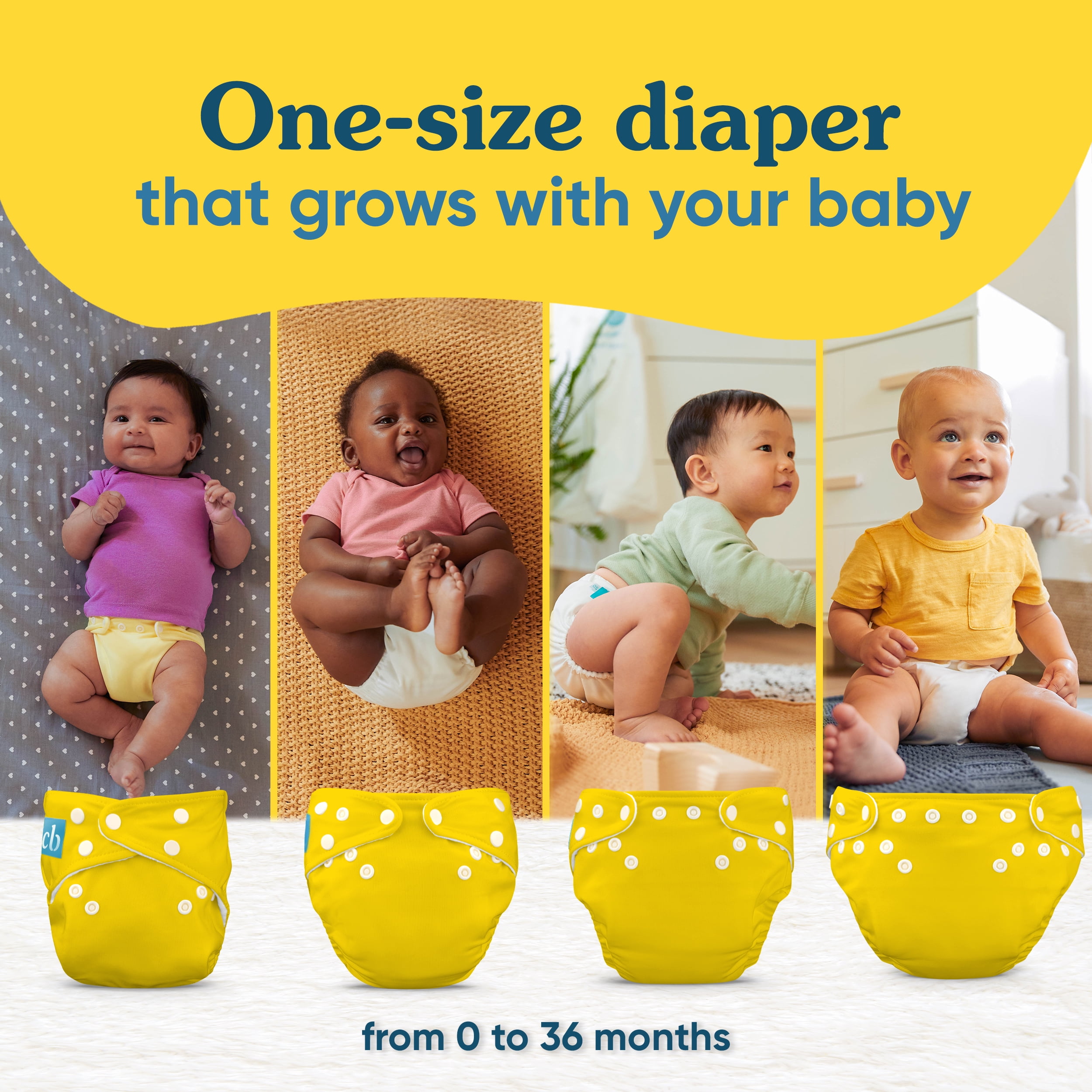 Charlie Banana Baby Washable Reusable Cloth Diapers One-Size Multi-Color CB Leaf 1 Pack