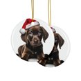 thumbnail image 2 of DistinctInk Hanging Ceramic Christmas Tree Ornament with Gold String - Great Gift/Present - 2 3/4 inch Diameter - Plott Hound Puppy Design, 2 of 4