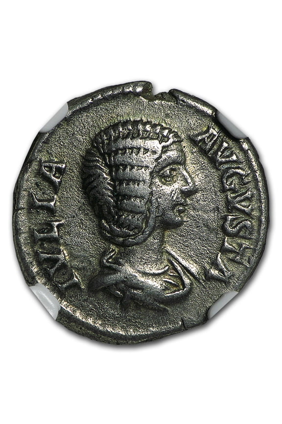 Roman Silver Denarius Julia Domna (193-217 AD) VF NGC