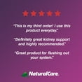 NaturalCare Kidney Care Kidney Support Formula Dietary Supplement