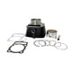 thumbnail image 1 of CILINDRO CON PISTON (PERNO 15 MM) SET VENTO NITROX 250 T2 (22-24) (WSTD) multicolor, 1 of 3