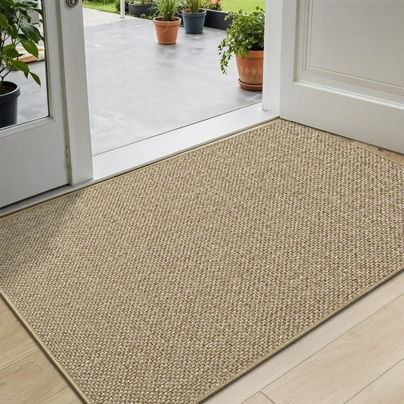 DEXI Tapis de Porte Intérieur pour Entrée, Grand Tapis d'Entrée avant Ultra Mince 32x48, Tapis de Sol, Paillasson Attrape-Saleté Lavable avec Revêtement Antidérapant R