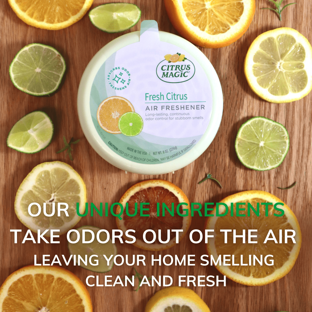 Voorkeursbehandeling Manier Omgeving Citrus Magic Odor Absorbing Solid Air Freshener, Fresh Citrus, 8-Ounce -  Walmart.com